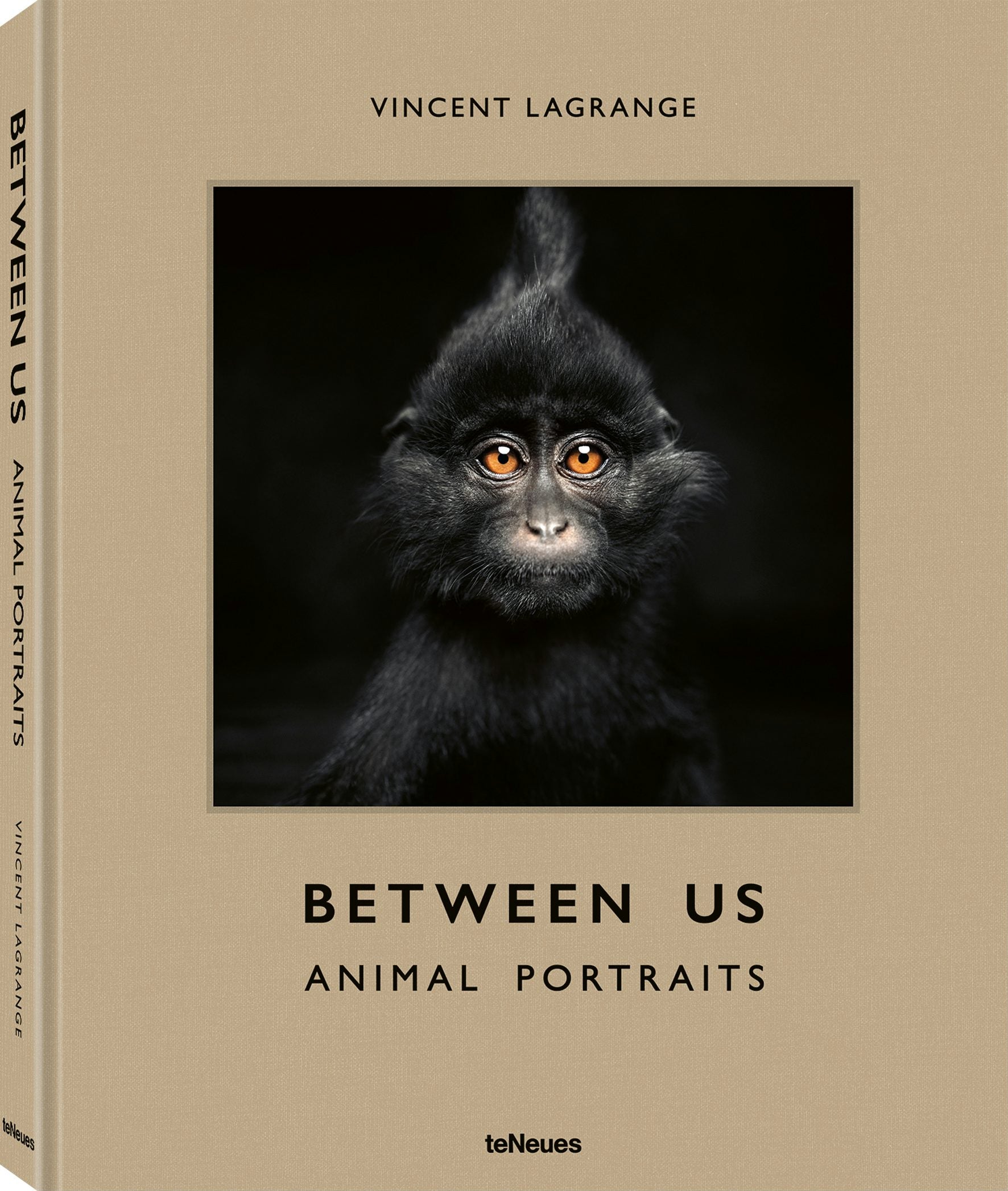 Book cover image for Between Us ISBN: 9783961714988